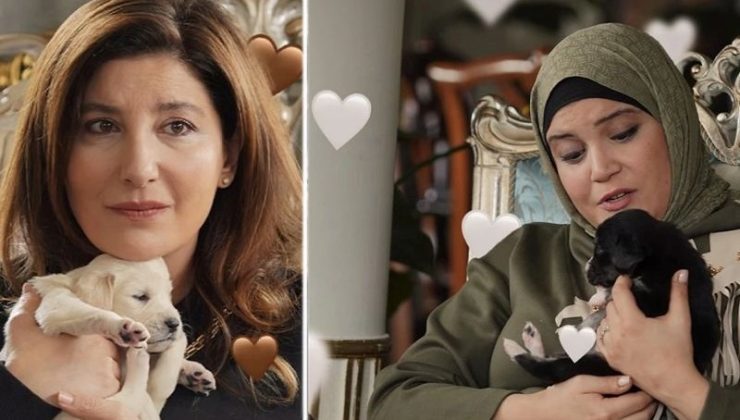 Bakanlıktan Kızılcık Şerbeti’nin köpek sahnesine düzeltme