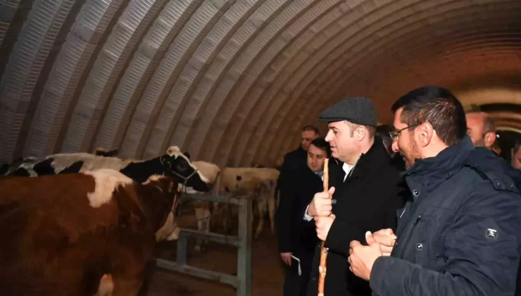 Balıkesir Büyükşehir Belediye Başkanı Ahmet Akın, Hayvan Pazarını Ziyaret Etti