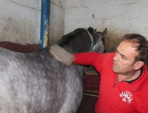 Bayburtlu ciritçi cet yadigarı eşyalara gözü üzere bakıyor