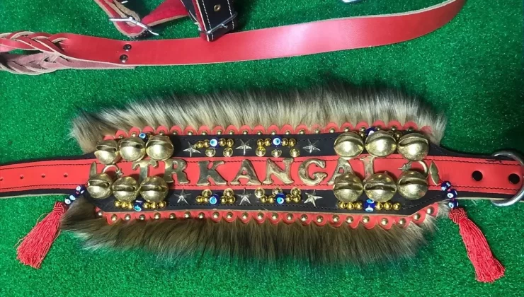 Beypazarı’ndan Yurt Dışına Köpek Tasmaları