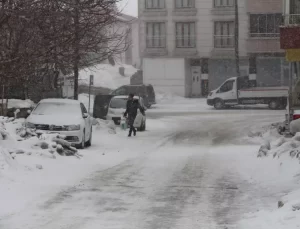 Bingöl Karlıova’da Kar Yağışı Hayatı Olumsuz Etkiledi