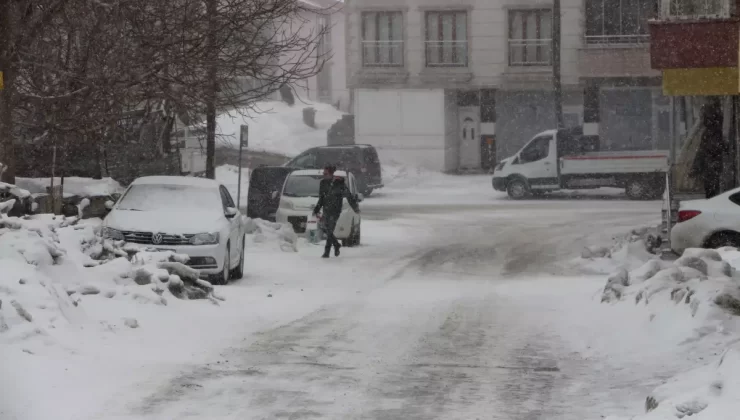 Bingöl Karlıova’da Kar Yağışı Hayatı Olumsuz Etkiledi