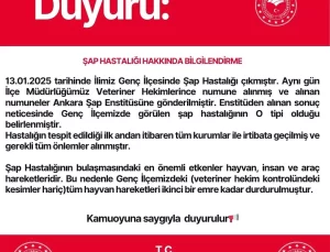 Bingöl’de Şap Hastalığına Karantina