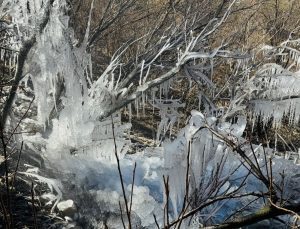Bir vilayette hava sıcaklığı eksi 10 dereceye düştü: Ağaçlarda buz sarkıtları oluştu