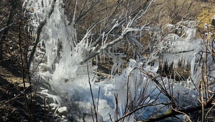 Bir vilayette hava sıcaklığı eksi 10 dereceye düştü: Ağaçlarda buz sarkıtları oluştu