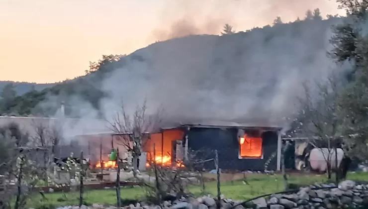 Bodrum’da Prefabrik Evde Yangın: 1 Yaralı