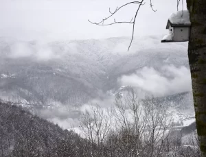Bolu Dağı’nda Sis Etkili