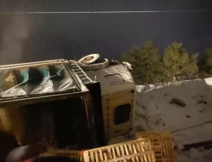 Bolu’da canlı tavuk yüklü kamyon devrildi; sürücü yaralandı, yüzlerce hayvan öldü