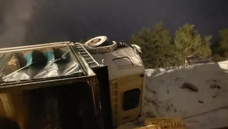 Bolu’da canlı tavuk yüklü kamyon devrildi; sürücü yaralandı, yüzlerce hayvan öldü