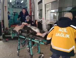 Boşandığı Eşini Bıçaklayan Kuşkulu Tutuklandı