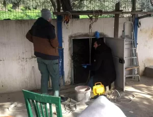 Bursa’da Kaçak Kazı Operasyonu