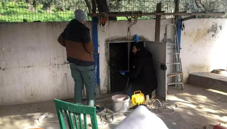 Bursa’da Kaçak Kazı Operasyonu