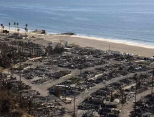 California Orman Yangınları Denetim Altında