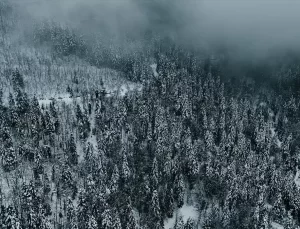 Çam Dağı’nda Kış Manzarası