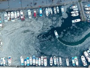 Çanakkale Boğazı’nda 5 yıl sonra yine müsilaj kabusu yaşanıyor