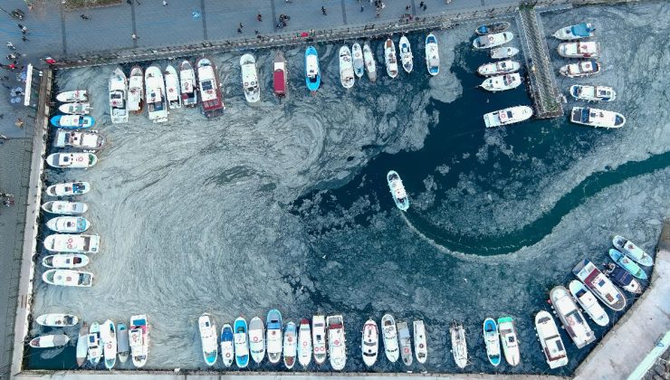 Çanakkale Boğazı’nda 5 yıl sonra yine müsilaj kabusu yaşanıyor
