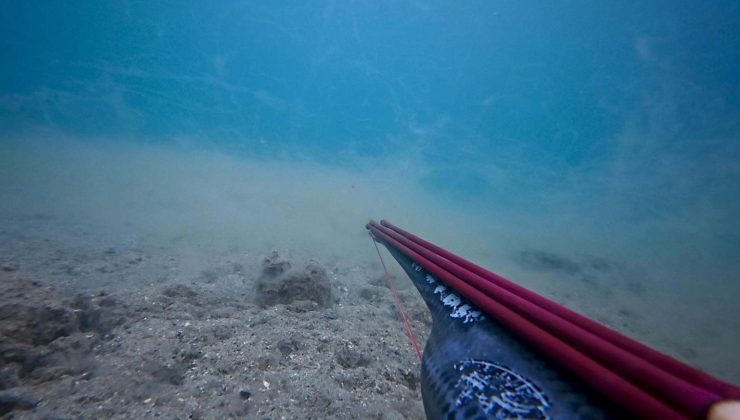 Çanakkale Boğazı’nda deniz dibine müsilaj çöktü