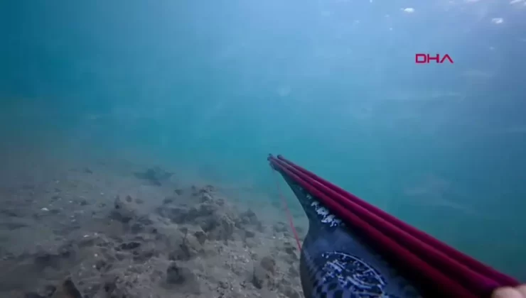 Çanakkale Boğazı’ndaki Müsilaj Sorunu Artıyor