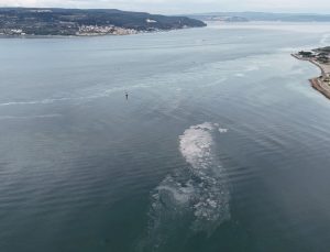Çanakkale Boğazı’nın kabusu geri döndü: Ekosistem büyük tehdit altında