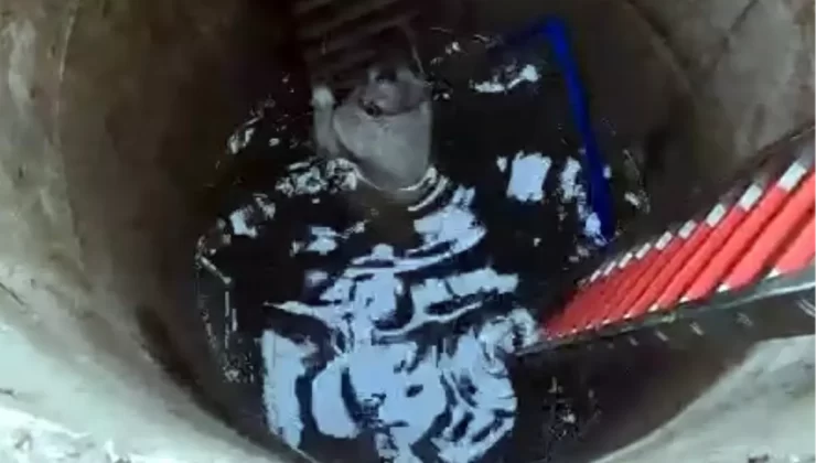 Çatalca’da Çoban Köpeği Garip, Derin Kuyuya Düşerek Kurtarıldı