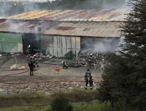Çayırova’da Fabrika Yangını