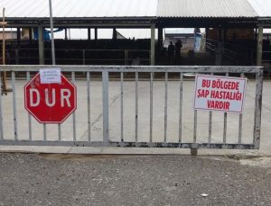 Çemişgezek’te şap karantinası