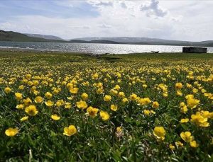 Cemre ne vakit düşecek? Cemrenin havaya, suya ve toprağa düşme tarihleri