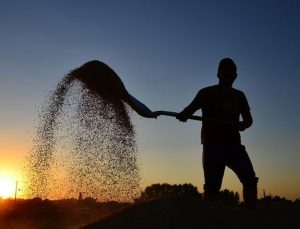 Çiftçilere 2,2 milyar lira tarımsal destek ödenecek