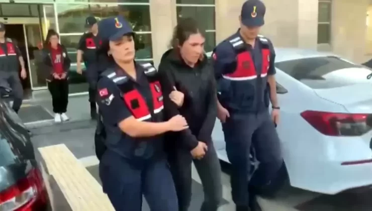 Çobanı Darp Eden Kardeşler Tahliye Edildi