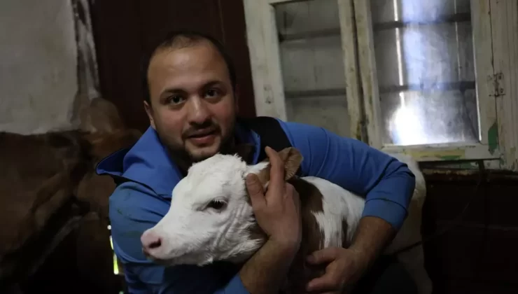 Çocukluk Hayali Gerçekleşen Genç Besici: İlkan Turgut