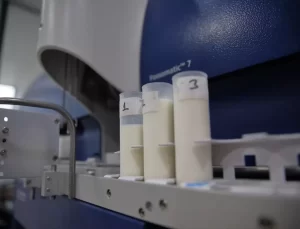 Çorum’da Süt Üretimi İki Katına Çıktı