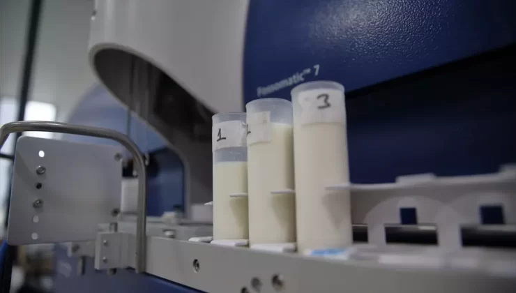 Çorum’da Süt Üretimi İki Katına Çıktı