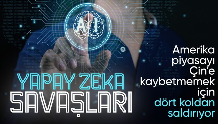 DeepSeek, ferdî bilgi güvenliği talepleriyle karşı karşıya