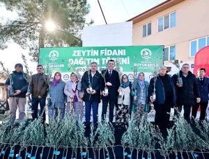 Denizli’de 46 Bin Zeytin Fidanı Üreticilere Dağıtıldı