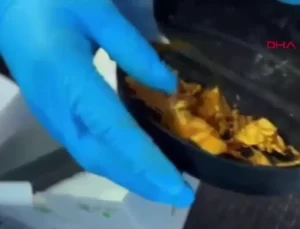 Denizli’de Tarihi Eser Kaçakçılığı Operasyonu: Altın Tacın Ele Geçirildiği İki Kuşkulu Tutuklandı