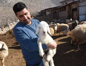 Deprem Yarası Sarılıyor: Malatyalı Yetiştiriciler Devlet Yardımıyla Üretime Devam Ediyor