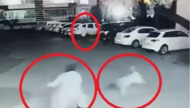 Diyarbakır’da Sokak Köpeği Anne ve Çocuğuna Saldırdı