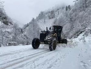 Doğu Karadeniz’de Kar Yağışı 675 Yolu Ulaşıma Kapatı