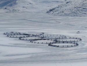 Doğuda dondurucu soğuk: Barajın yüzeyi buz tuttu