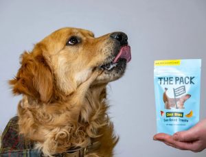 Dünyanın birinci laboratuvar üretimi et eseri evcil hayvanlar için satışa çıktı