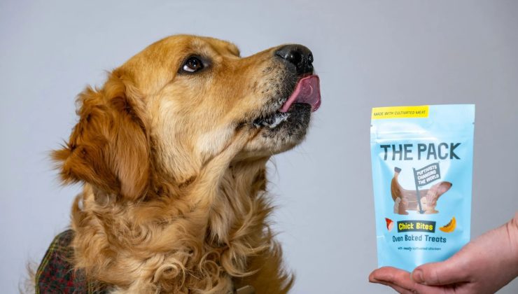 Dünyanın birinci laboratuvar üretimi et eseri evcil hayvanlar için satışa çıktı