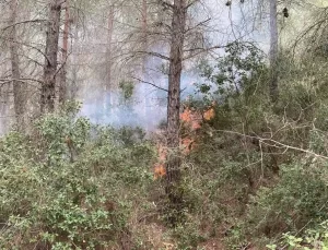 Düziçi’nde Orman Yangını Kontrol Altında