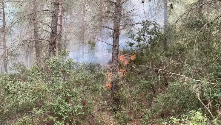 Düziçi’nde Orman Yangını Kontrol Altında