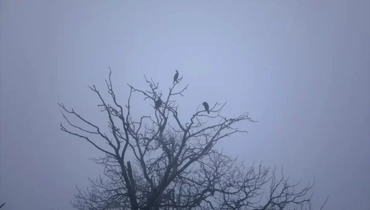 Edirne’de Ağır Sis