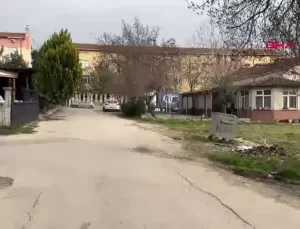 Edirne’de Sokak Köpeği Bir Öğrenciyi Isırdı