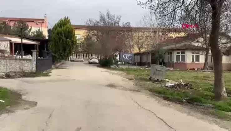 Edirne’de Sokak Köpeği Bir Öğrenciyi Isırdı