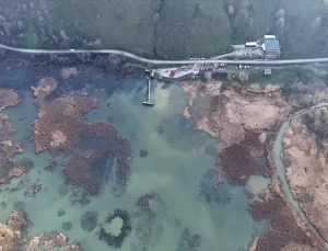 Efteni Gölü’nde Dünya Sulak Alanlar Günü Kutlandı