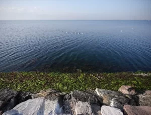 Ege Denizi’nde Sismik Hareketlilik