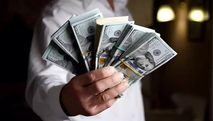 En çok para kazandıran yatırım aracı belli oldu