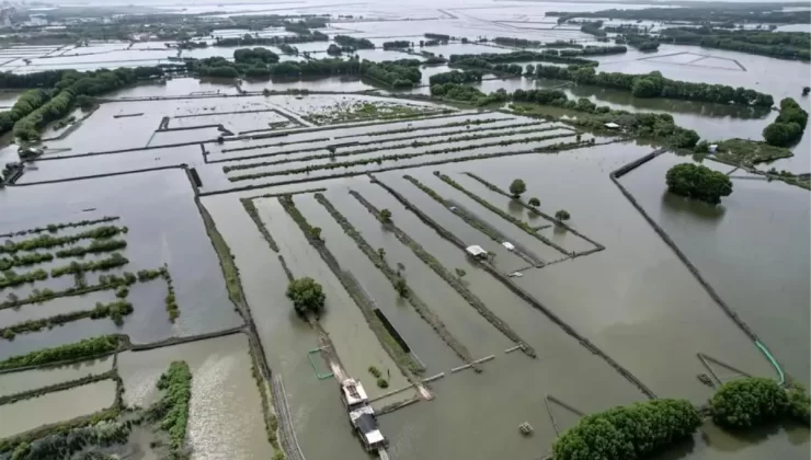 Endonezya’da Deniz Yosunu Hasadı